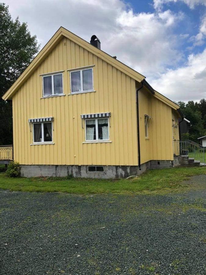 Sjarmerende Overnatting Sentralt I Vest-Telemark Hoydalsmo Dış mekan fotoğraf